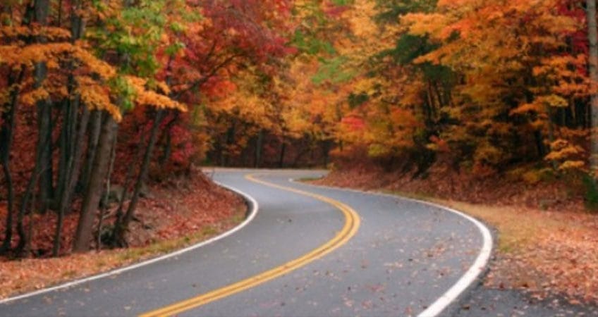 Road cutting through a beautiful forest in the fall.