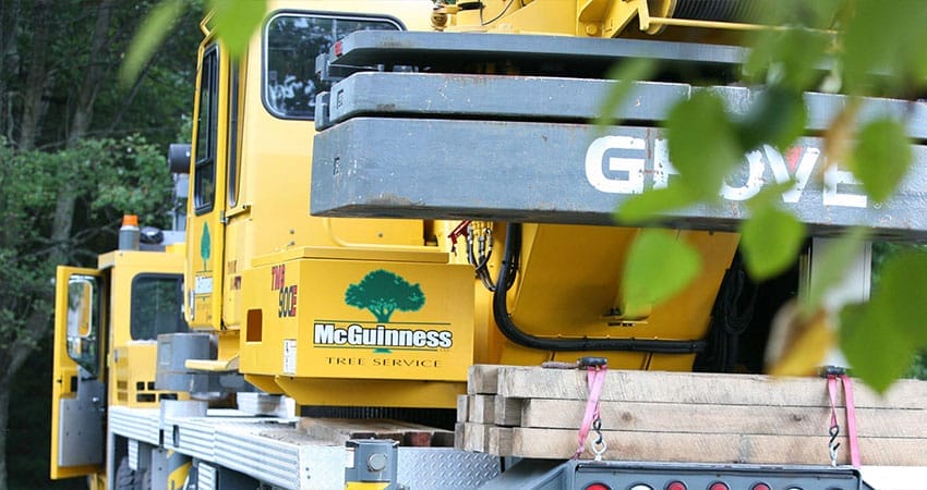 Close up of yellow tree removal truck with Mc Guinness Tree Service logo printed on the back.