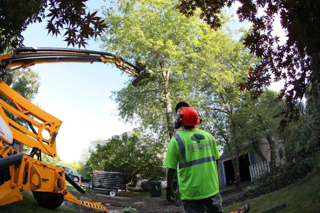 Arborist in safety gear observing a tree removal lift in progress using a hydraulic boom in a residential yard.